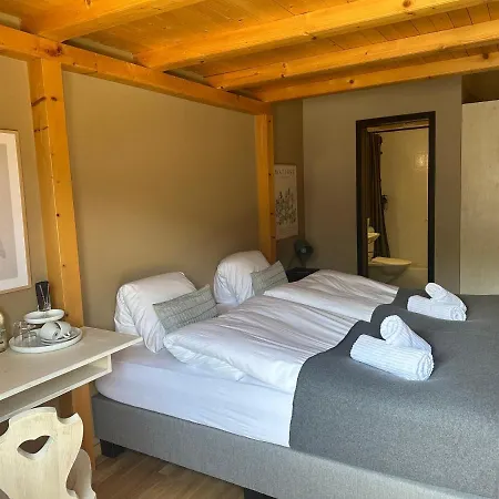 فندق Pez Regina - Nordic Style Alps *